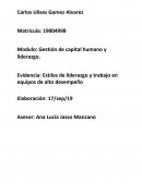 Estilos de liderazgo y trabajo en equipos de alto desempeño