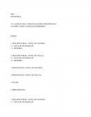 T.O. comunicaciones industriales