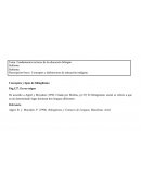 Fundamentos teóricos de la educación bilingüe