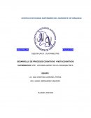 DESARROLLO DE PROCESOS COGNITIVOS Y METACOGNITIVOS