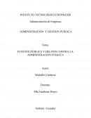 FUNCIÓN PÚBLICA Y DELITOS CONTRA LA ADMINISTRACIÓN PÚBLICA