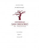 Alberti y su visto de arquitectura