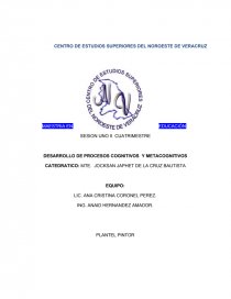 DESARROLLO DE PROCESOS COGNITIVOS Y METACOGNITIVOS. Página 1