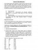 CASO VIÑA CERRO AZUL