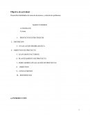 Actividad 2 Planeamiento del proyecto. Empresa Metalsa