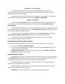 Capitulo 3 - Los Colonizadores