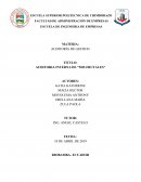 AUDITORIA INTERNA DE “MIS FRUTALES”