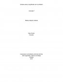 Síntesis sobre el significado de mi profesión