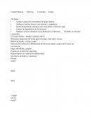 Unidad Didáctica	Objetivos	Contenidos	Tiempo “Mi Salita”