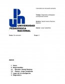 Diagnostico pedagógico (Comprensión lectora y fallas en el algoritmo)