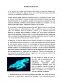 Bioluminiscencia - El Brillo de la Vida