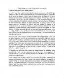 Mettaliderazgo, creando líderes de alto desempeño