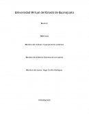 El pensamiento sistémico .Sistemas de corrupción