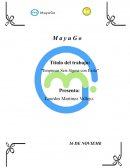 CASOS DE EXITO 6 SIGMA