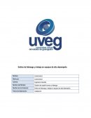 Estilos de liderazgo y trabajo en equipos de alto desempeño