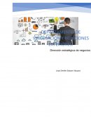 Estrategia de negocios LODEMO