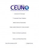 Trabajo: Análisis & Opinión De “La Nueva Jerusalén”