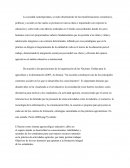 El huerto como sistema agroecológico educativo