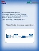 Mapa mental cadena de suministro