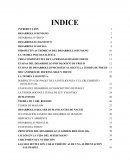 Desarrollo humano, personalidad