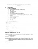 PROCESO DE ATENCIÓN DE ENFERMERÍA EN SALUD MATERNO PERINATAL