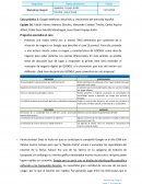 Caso práctico 2: Google AdWords: desarrollo y crecimiento del mercado español