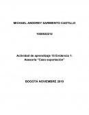 Actividad de aprendizaje 15 Evidencia 1: Asesoría “Caso exportación”