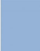 Como llegamos a esto. La Economía de México