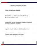 Saturación de empresas