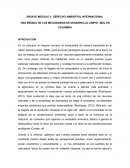 DERECHO AMBIENTAL INTERNACIONAL