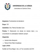 Observación de células de médula ósea y su concentración en portaobjetos mediante cytospin