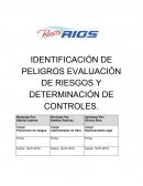 IDENTIFICACIÓN DE PELIGROS EVALUACIÓN DE RIESGOS Y DETERMINACIÓN DE CONTROLES