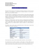 Ensayo Coaching en Película Avatar