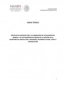 SERVICIOS DE ASESORÍA PARA LA ELABORACIÓN DE UN DIAGNÓSTICO GENERAL Y DE UN PROGRAMA DE MEJORA DE LA GESTIÓN DE LA SECRETARÍA DE AGRICULTURA, GANADERÍA, DESARROLLO RURAL, PESCA Y ALIMENTACIÓN