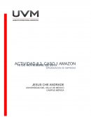 Actividad 3 Caso Amazon Organización de empresas