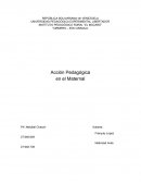 Acción Pedagógica en el Maternal