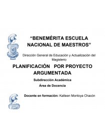 Planeacion argumentada ejemplo. Página 1