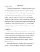 Caso Glass Initiative