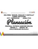 Formato de planeacion docente