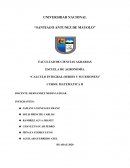 Análisis de sucesiones y series: Convergencia, divergencia y límites