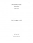 Trabajo de Investigación: La Internet