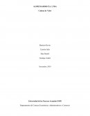 Cadena De Valor Alimensabor