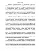 Instalaciones Vitales