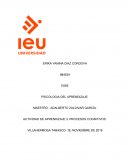 PSICOLOGIA DEL APRENDIZAJE.PROCESOS COGNITIVOS
