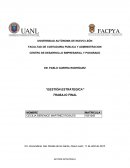 Gestión estrategica. Trabajo final