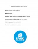 Introducción a la ingeniería en gestión de proyectos