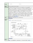 Ciclo de citrato (ciclo de TCA)