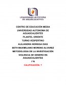 VIOLENCIA DE GENERO EN AGUASCALIENTES