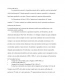 Arqueologia. Etapa Arcaica y Litica en America