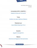 Análisis de casos Astilleros Malnam